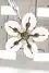 Thumbnail image 14