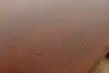 Thumbnail image 20