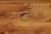 Thumbnail image 17