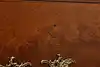 Thumbnail image 26