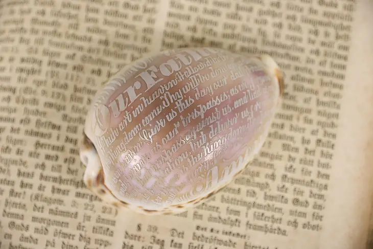 Cowrie Sea Shell Carved With The Lord's Prayer #3