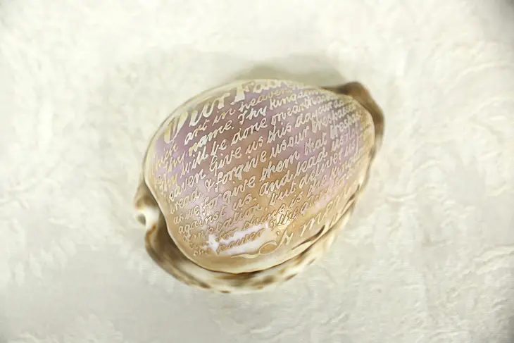 A natural "Cowrie" sea shell with the Lord's Prayer #2
