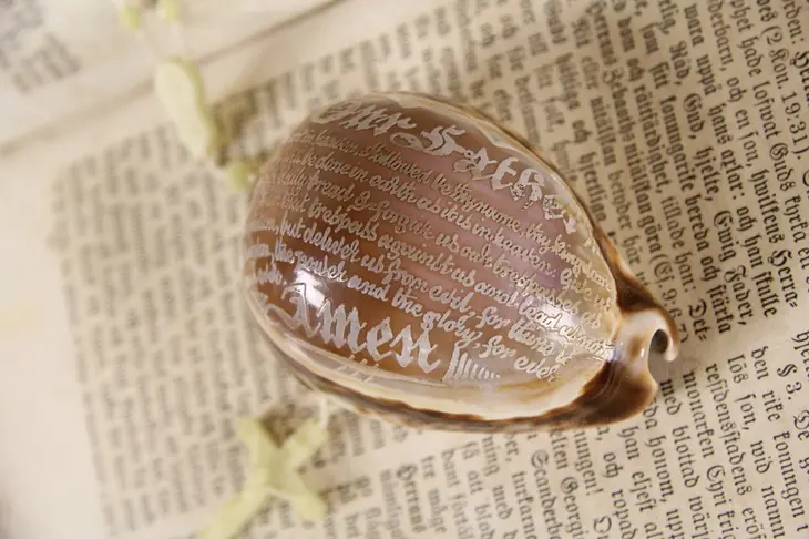 Lord's Prayer Carved on Cowrie Sea Shell