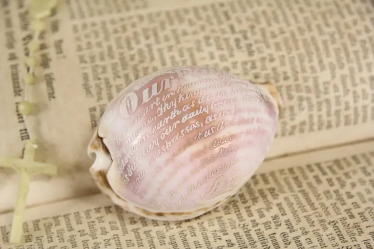 Cowrie Sea Shell Carved Lord's Prayer