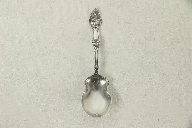 Sterling Silver Antique Shell Shape Sugar Spoon, Flower, Signed M #30103