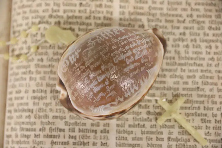 Cowrie Sea Shell Carved With The Lord's Prayer
