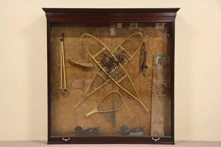 Museum Cabinet, Shadow Box 1910 Wall Display Case