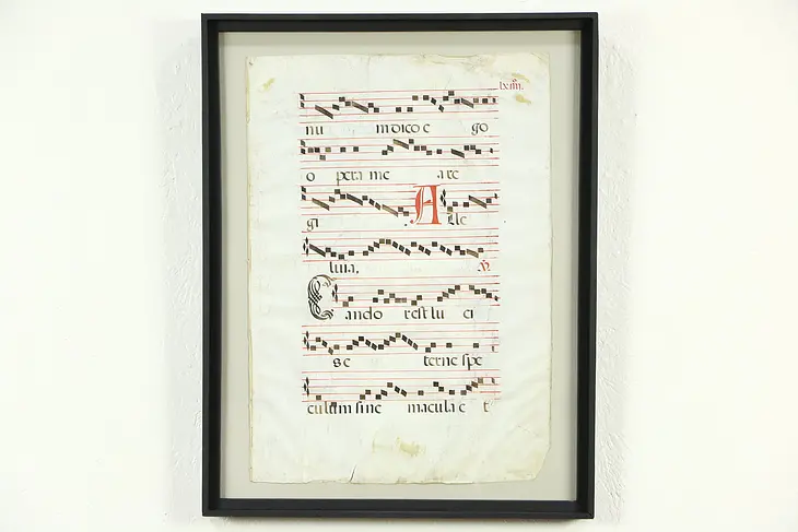 Musical Antique Latin Manuscript on Vellum, Hand Painted Late 1600's, Framed