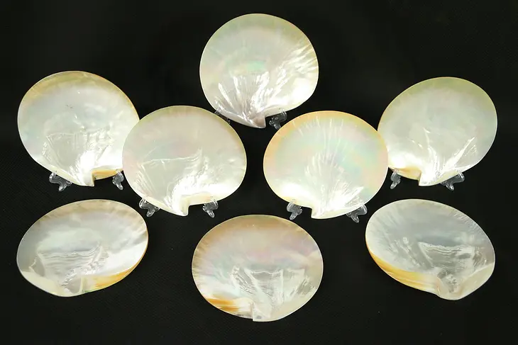 Set of 8 Vintage Mother of Pearl Natural Shell Seafood Plates #29011