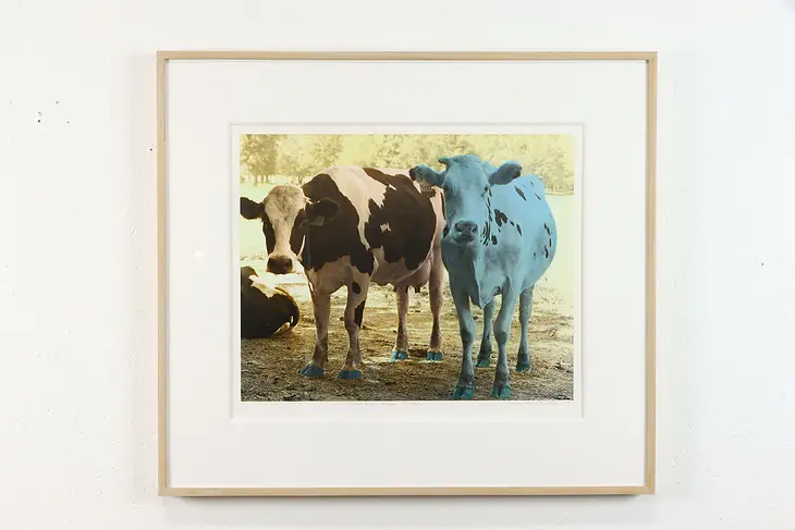 Maa and Paa Cattle Handcolored Silverprint 1988 James B. Bissell 30" #38442