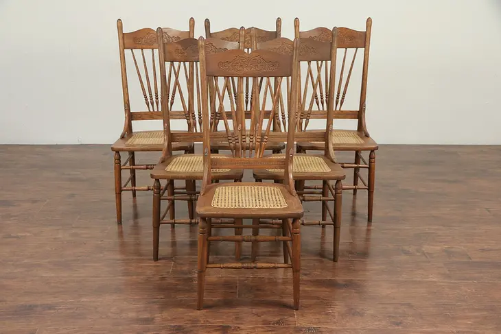 Set of 6 Victorian Antique 1900 Oak Pressback Carved Dining Chairs #29240