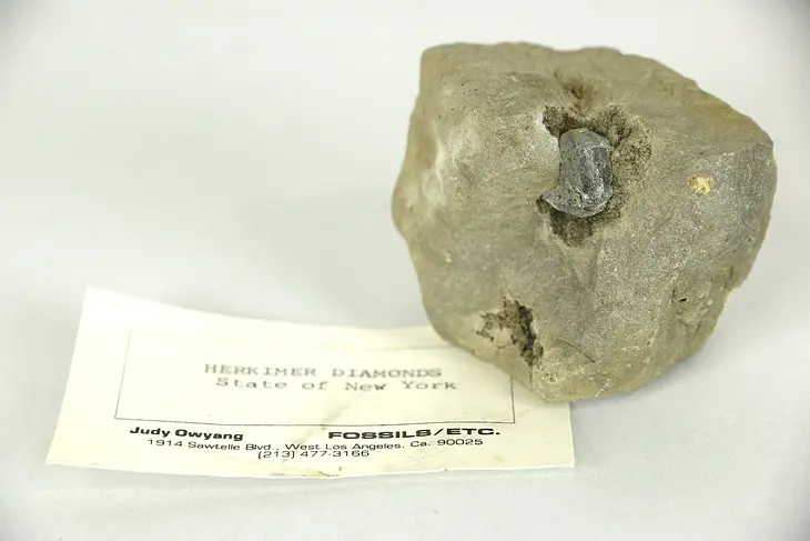 Herkimer Diamond in Dolostone, N Y State Souvenir #24161