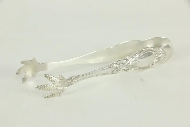Sterling Silver Antique Sugar Tongs, Claw Tips