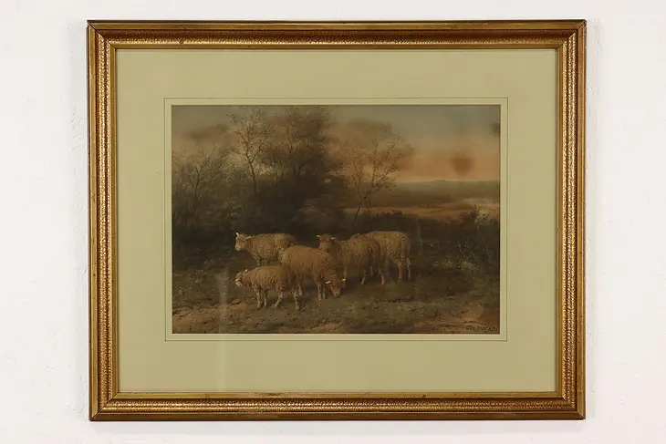 Grazing Sheep in Field Antique Art Print, Riecke for Tabor 25.5" #41201