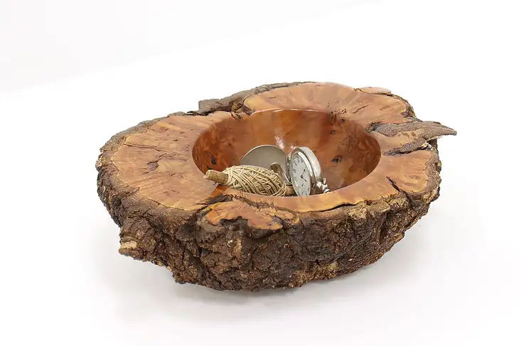 Live Edge Beech Tree Trunk Carved Free Form Bowl, New Zealand #44312