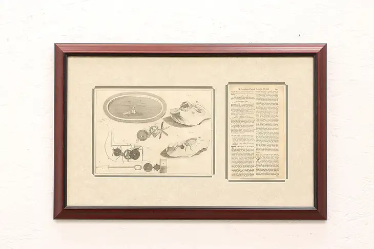 English Antique 1766 Engravings & Story of Fossil & Mechanical Swan 23.5" #45115