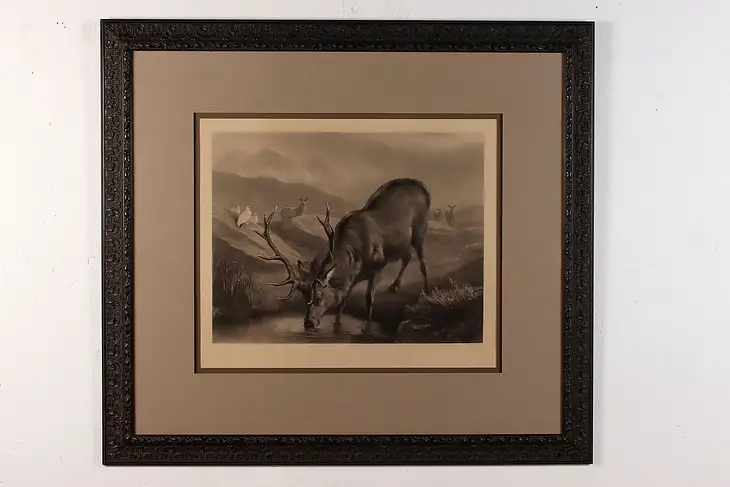 Black Forest Hart Antique Original Engraving, Carter 46.5" #45958