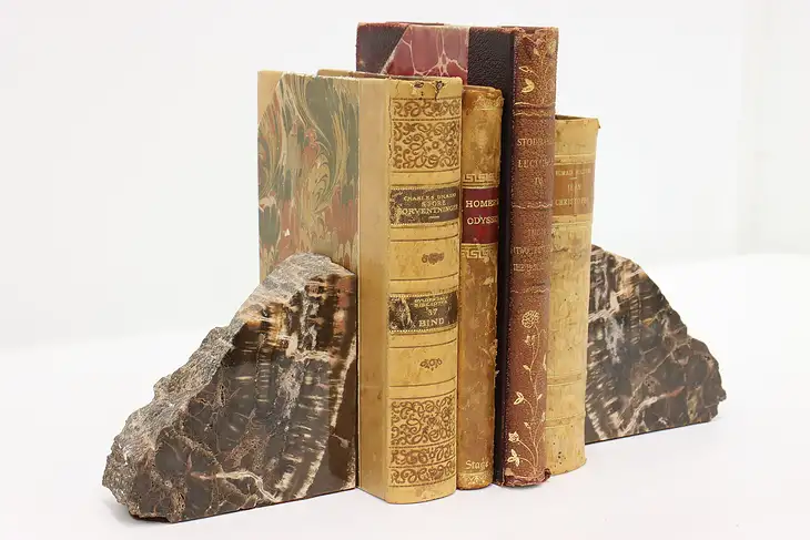 Pair of Antique Petrified Wood Bookends #46406