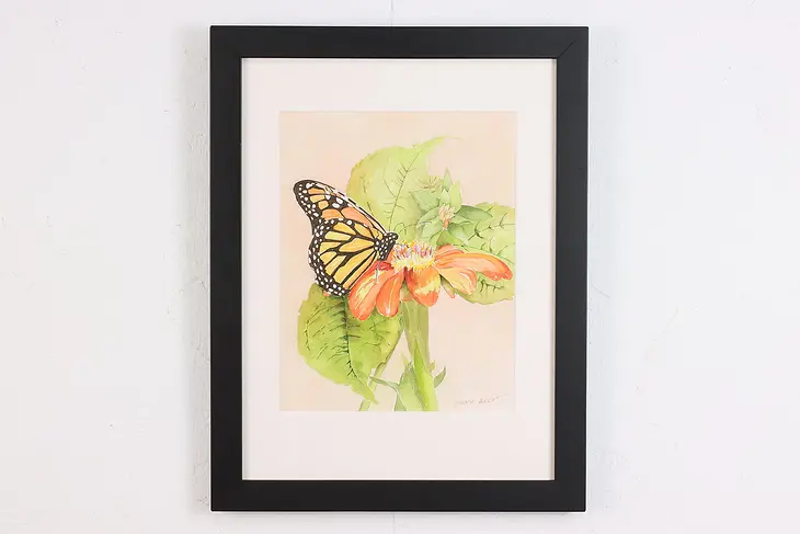Monarch Butterfly Vintage Original Watercolor, Becht 18" #49720