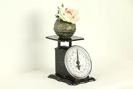 Oak Leaf Walden NY Antique 24# Kitchen Scale, Pat 1906 #32887