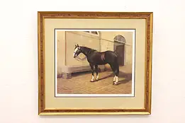 British Calvary Horse Original Vintage Print, Fraser 35" #45107