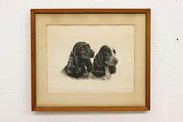 Pair of Spaniel Dogs Antique Original Engraving, Danchin 31" #45000