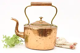 European Farmhouse Antique Copper & Brass Teapot or Kettle #45039