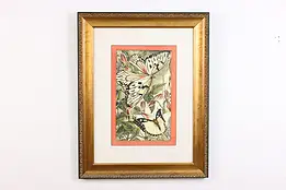 Butterflies & Flowers Vintage Original Print 25.5" #49741