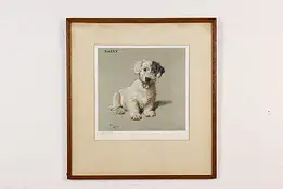 Barry Terrier Dog Antique Lithograph Print, Aldin 22" #50577