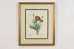 Marigolds Antique Botanical Print, Redoute 18.5" #52971