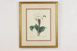 Dalura Lavis Antique Botanical Print, Redoute 18.5" #53395
