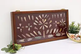 Collection of Antique Native American Arrowheads in Case #44736