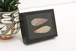 Pair of Indigenous Antique Stone Arrowheads in Case #43643