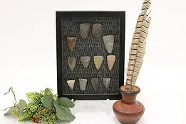 Set of 12 Antique Indigenous Stone Points in Case #55919