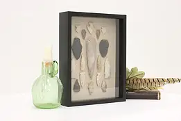 Indigenous Stone Point & Arrowhead Collection Shadow Box #56851
