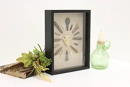 Indigenous Stone Point & Arrowhead Collection Shadow Box #56718