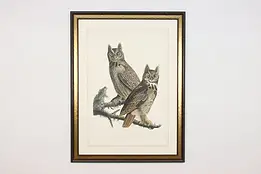 Great Horned Owl Antique Lithograph after Audubon 52" #59838