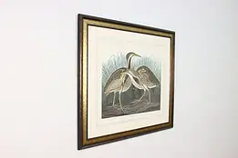 American Bittern Antique Lithograph after Audubon 41" #59847