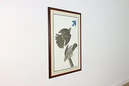 Hunting Stanley Hawk Antique Lithograph after Audubon 46.5" #59839