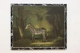 Zebra Vintage Oil Painting after George Stubbs Original 45" #60198