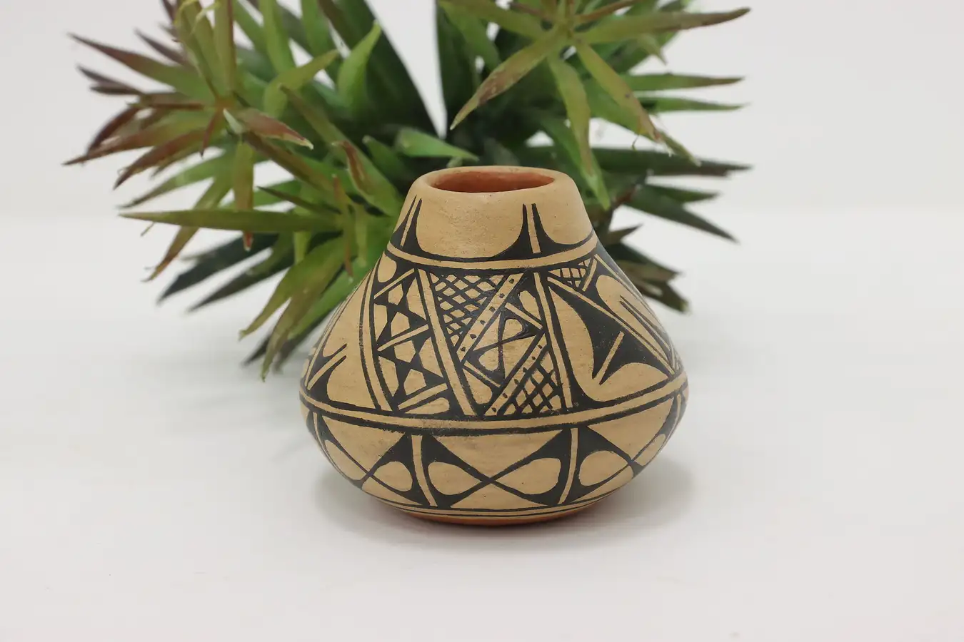 Main image of Native American Vintage Hand Painted Pottery Vase, Reano