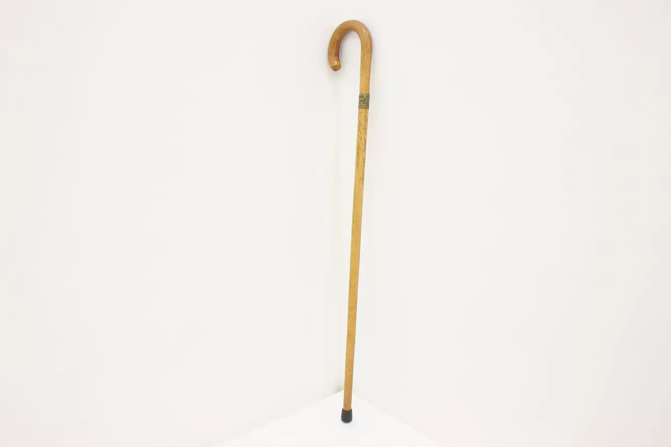 Main image of Chicago 1933 World Fair Vintage Walking Cane or Stick