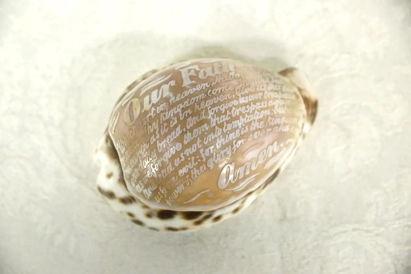Main image of Cowrie Sea Shell Carved with the Lord's Prayer