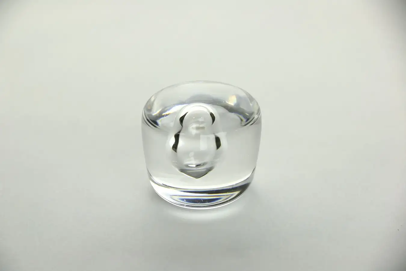 Main image of Crystal Paperweight with Controlled Bubble