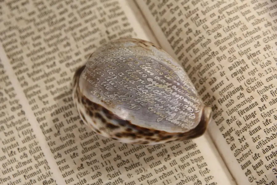 Seashell Scriptures Carved Lord's Prayer on Cowrie Sea Shell