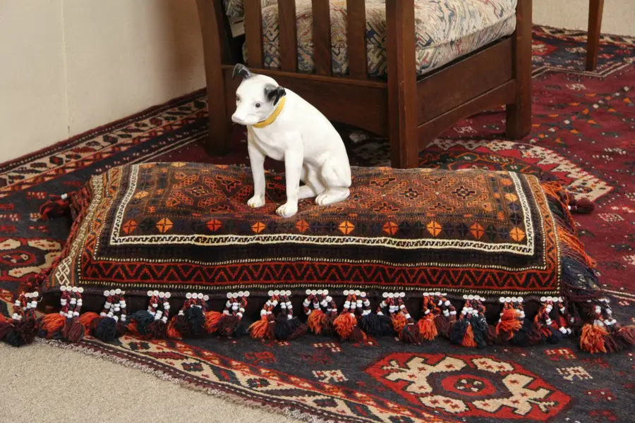 Photo of Camel Bag Oriental Rug made into Dog Pillow, Fringe 3 Sides