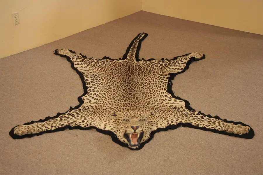 Photo of Leopard Skin Rug with Head