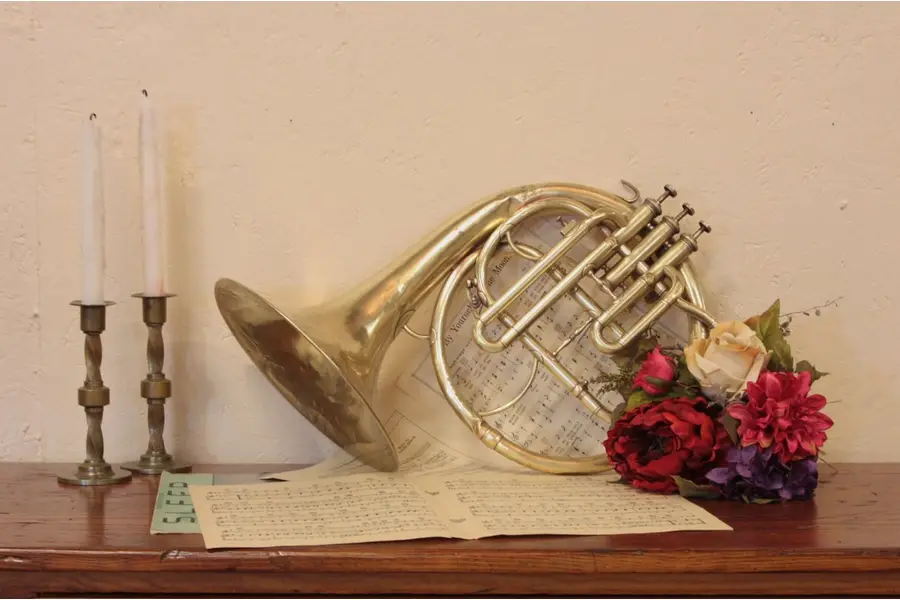 Photo of Diamond Dyer Brass French Horn