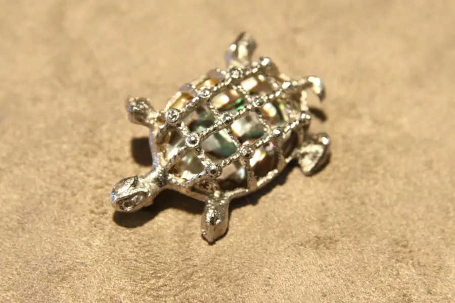 Photo of Vintage Abalone Turtle Pin