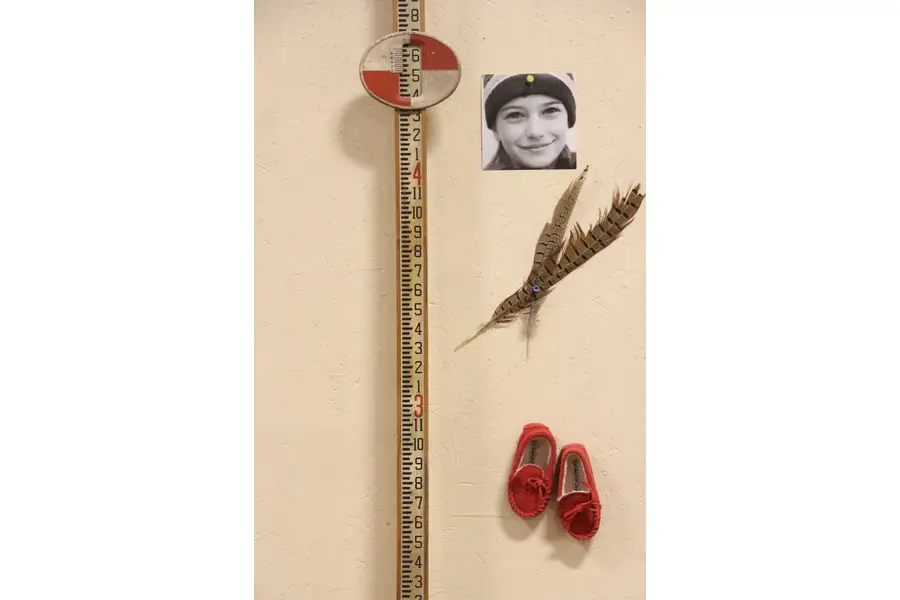 Photo of Surveyor 8' 9" Elevation Measuring Stick